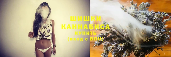МДПВ Каменногорск