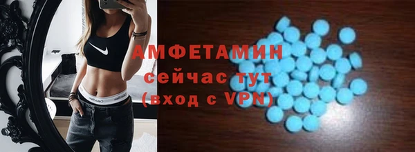 МДПВ Каменногорск