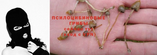 МДПВ Каменногорск