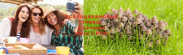 a pvp Каменка