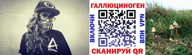 Псилоцибиновые грибы Magic Shrooms  Купить  Волгореченск 